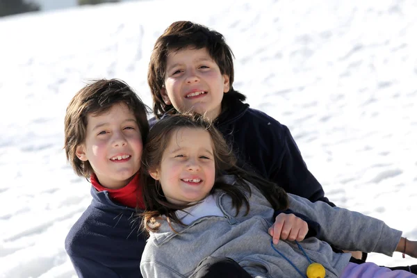 Three brothers on the snow in the mountains in winter