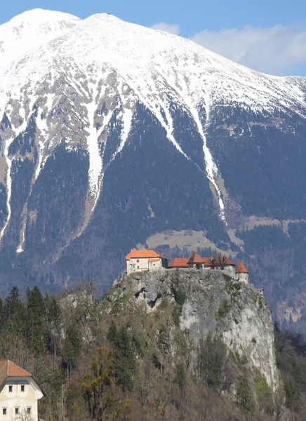 Castle on Lake bled and the snowy mountains of Slovenia — Stock Photo, Image