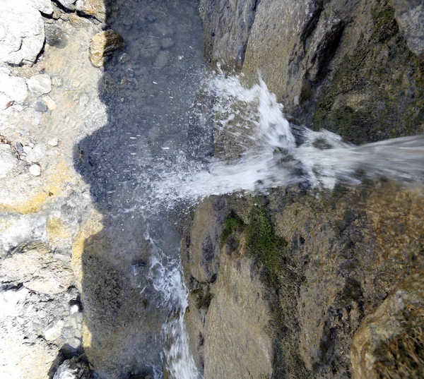Pequeña cascada de un arroyo de montaña con agua dulce entre el —  Fotos de Stock
