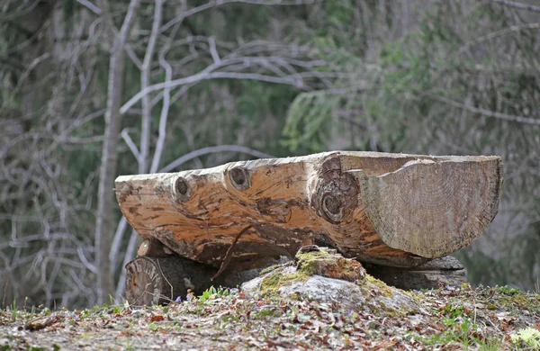 Gran altar en el medio del bosque consiste en un gran árbol tru — Foto de Stock