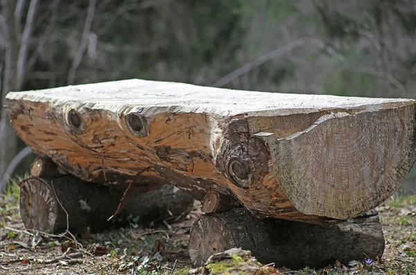 Altar en el medio del bosque consiste en un gran tronco de árbol —  Fotos de Stock