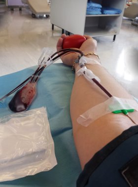 ihtiyacınız olan hastanede kan nakli sırasında donör kan