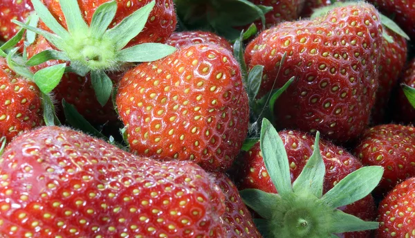 成熟的红草莓背景 — 图库照片