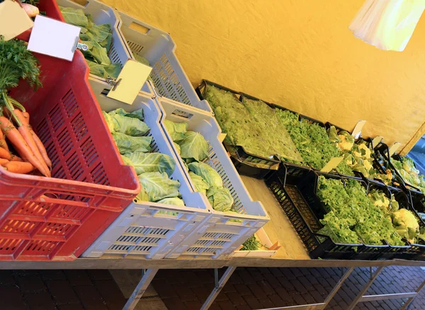 Verdure fresche nella bancarella del negozio di alimentari — Foto Stock
