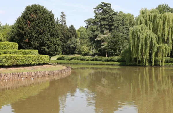 Vijver in de publieke tuin met eeuwenoude bomen — Stockfoto