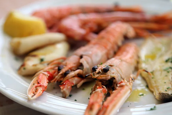 Zwei riesige Garnelen gegrillt im Teller des Restaurants — Stockfoto