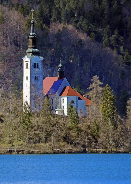 Island of Lake BLED in SLOVENIA — Stock Photo, Image