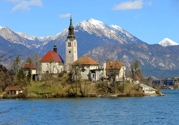 Church on the island of Lake BLED in SLOVENIA and the snowy moun — Stock Photo, Image