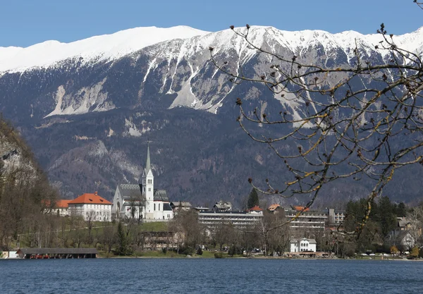 Kostel se zvonicí na břehu jezera Bled ve Slovinsku — Stock fotografie