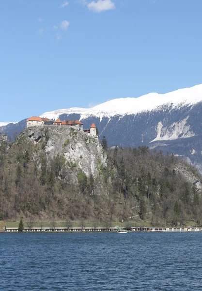 Antiguo castillo en la colina cerca del lago BLED en Eslovenia —  Fotos de Stock