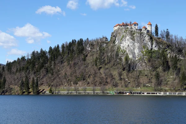 Castle on the hill near the Lake BLED in Slovenia in Eastern Eur — Stock Photo, Image