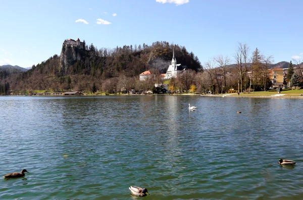 Igreja com Bell Tower na margem do Lago BLED — Fotografia de Stock