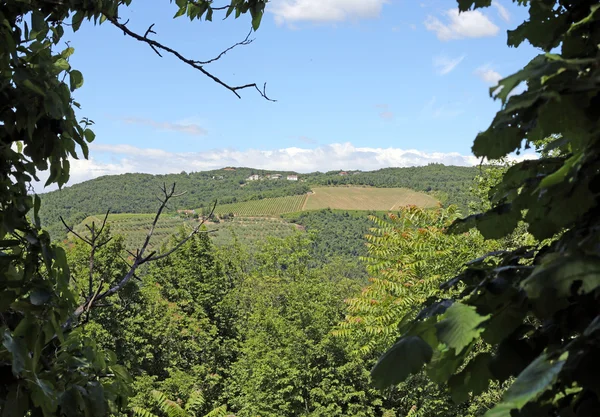 Landschaft der Colli Berici Hügel in Venetien in Italien — Stockfoto