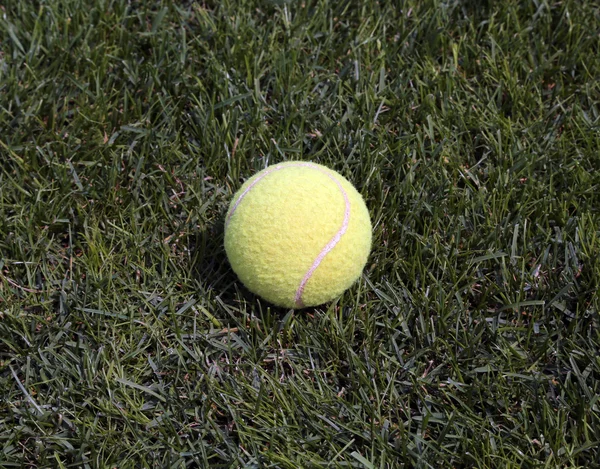 Yeşil çimenlerin üzerinde izole sarı tenis topu — Stok fotoğraf