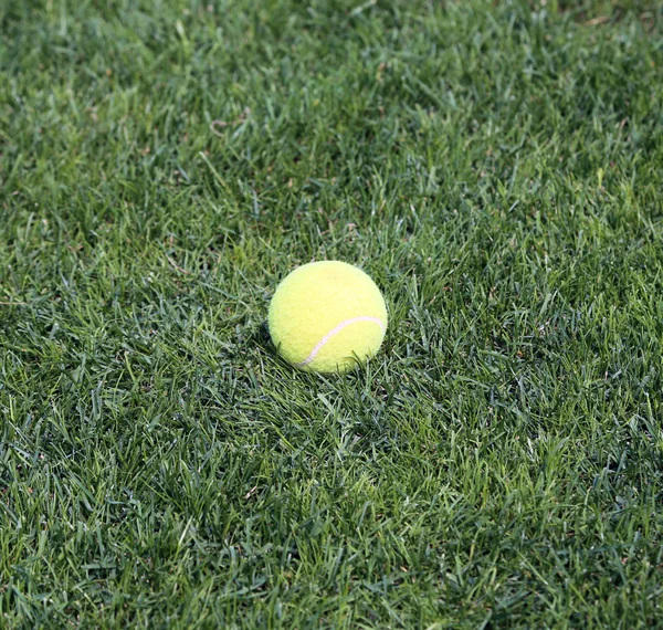 Yeşil çimenlerin üzerinde sarı tenis topu yukarı kapatın — Stok fotoğraf