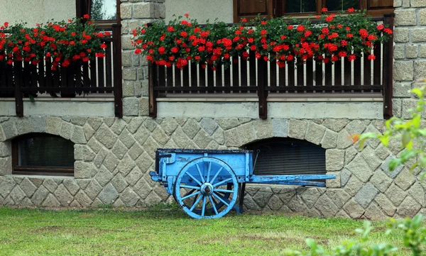 Голубая деревянная повозка с геранью на ферме — стоковое фото