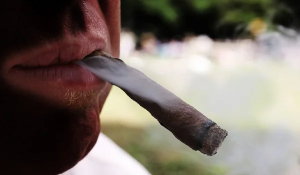 Cigarr i munnen av rökare och rök — Stockfoto