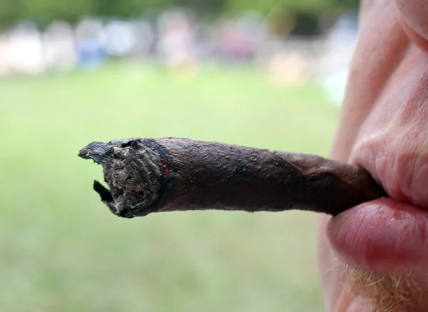 Jeune fumeur avec cigare dans la bouche — Photo