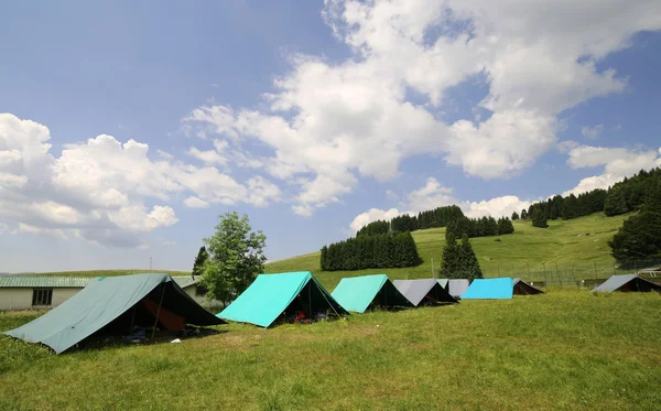 Ряд палаток в летнем лагере бойскаута — стоковое фото