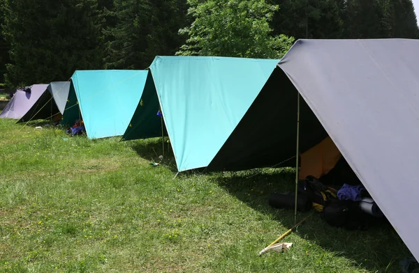 Fila de tiendas de campaña en el campamento de verano del boyscout —  Fotos de Stock