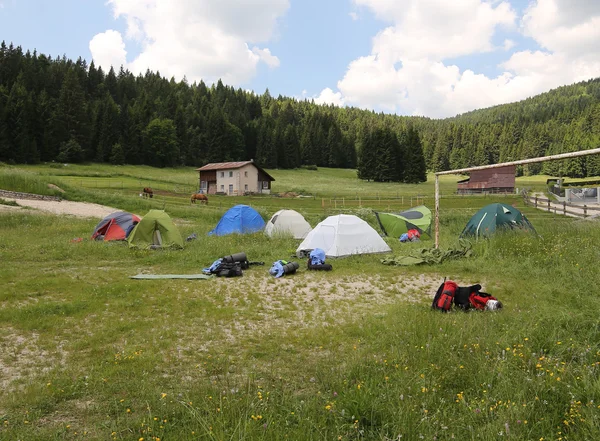 Dome tents in the campsite of boyscouts — Stock Photo, Image