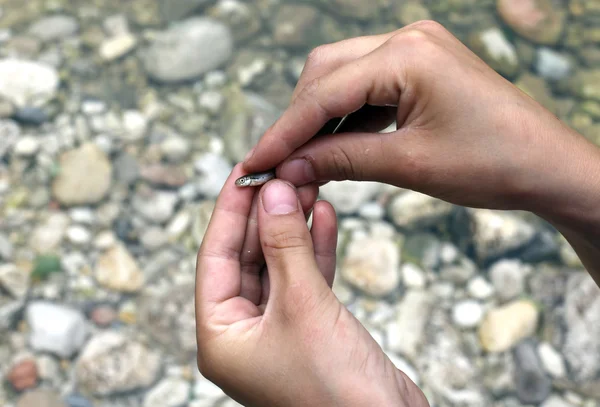 Barn med en mycket liten fisk i handen — Stockfoto
