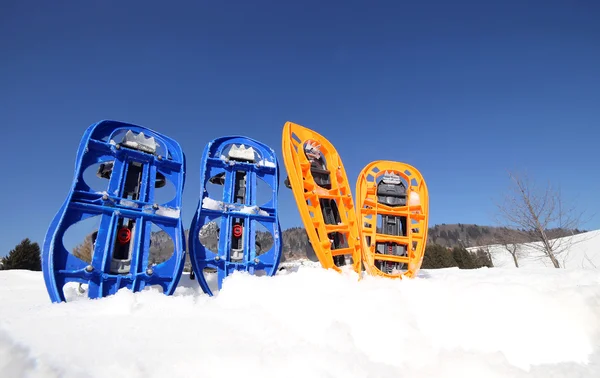 Four blue and orange snowshoes — Stock fotografie