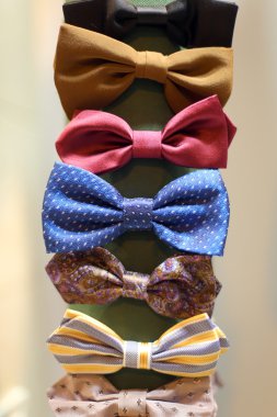 papillon from man to dress elegantly