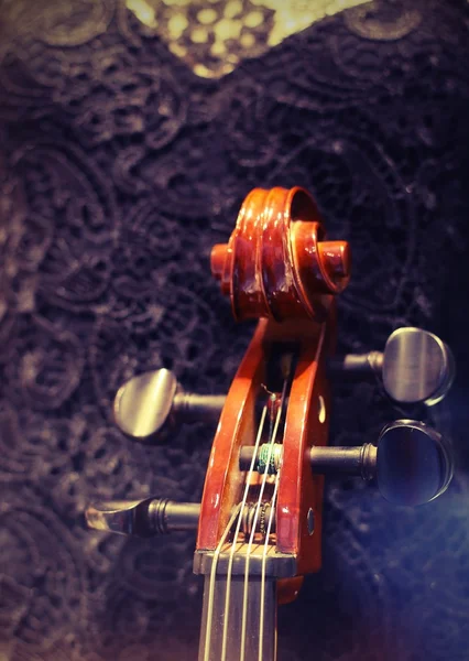 Old cello played by a woman — 스톡 사진