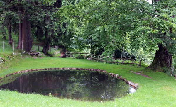 Belo lago de montanha na floresta — Fotografia de Stock