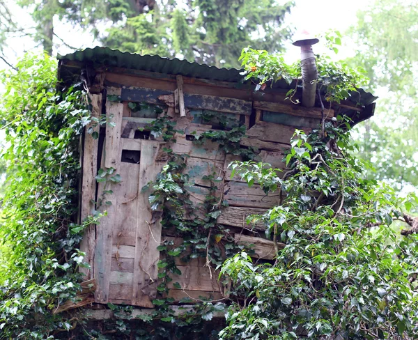 Cabane camouflée de chasseurs dans les bois — Photo