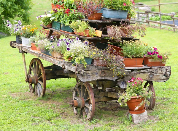 Wooden cart decorated with many flowers in the summer — Stock Fotó