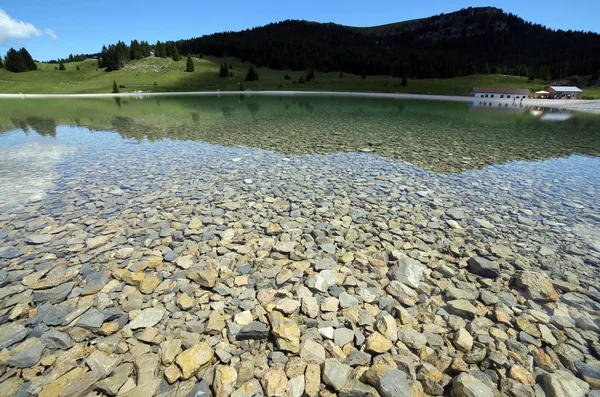 Lago alpino con las montañas y los árboles — Foto de Stock