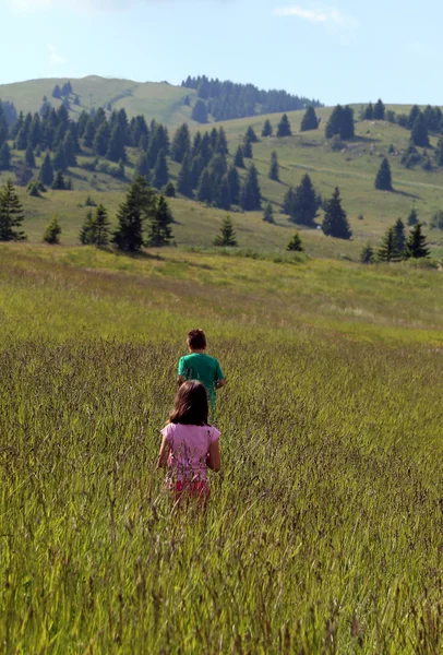 Two children run amid the tall grass of the meadow — 图库照片