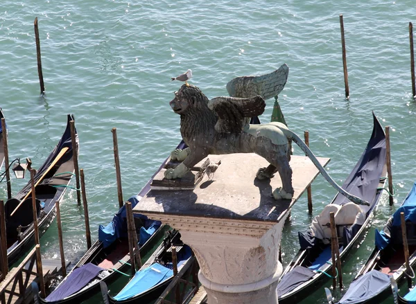 Venice Italy Winged lion symbol of the Venetian Republic — Stockfoto