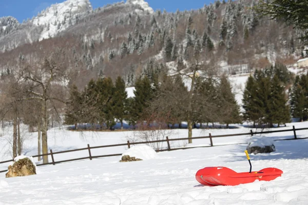 Bob voor het spelen in de sneeuw in de bergen — Stockfoto