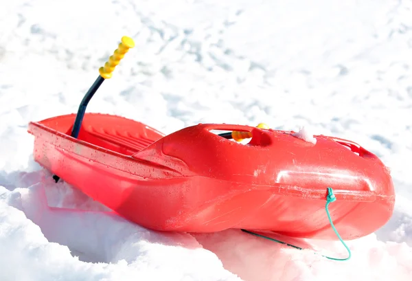 Bob voor het spelen in de sneeuw in de bergen in de winter — Stockfoto