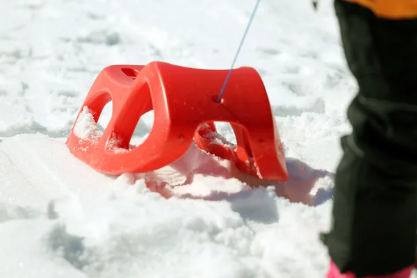 Reb slee voor het spelen in de sneeuw — Stockfoto