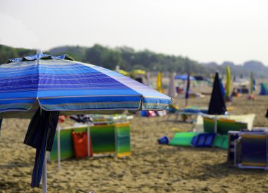 plaj renkli şemsiye