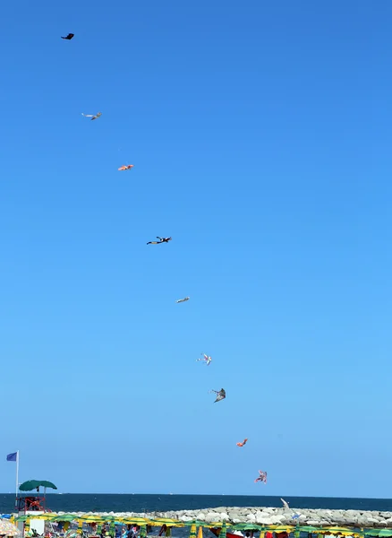 Veel vliegers vliegen hoog in de hemel boven het strand in de zomer — Stockfoto