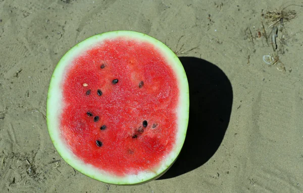 Große Wassermelone auf der Plantage in sandigen — Stockfoto