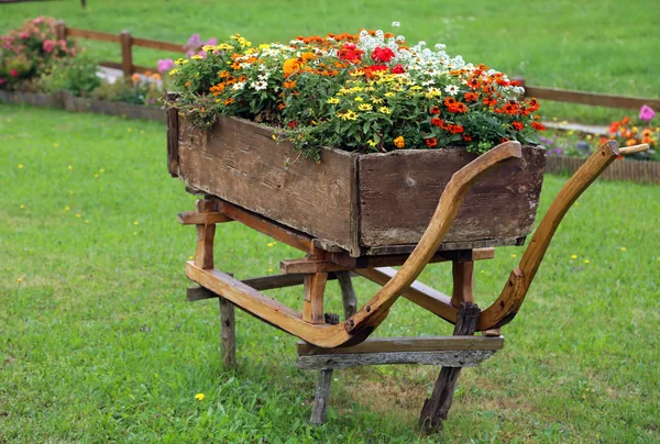 Antica slitta in legno decorata con vasi di fiori in montagna — Foto Stock