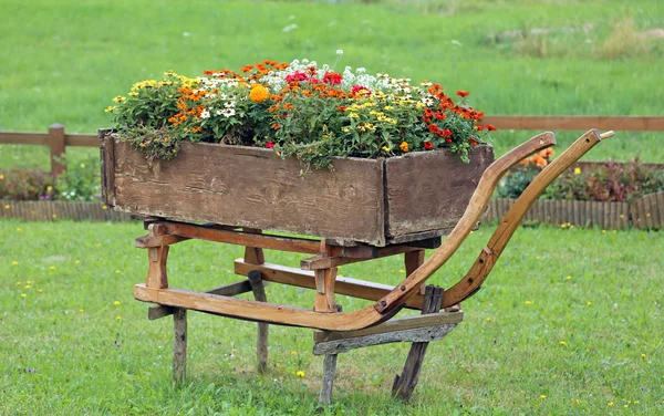 Alter Holzschlitten mit Blumenvasen im Berg dekoriert — Stockfoto