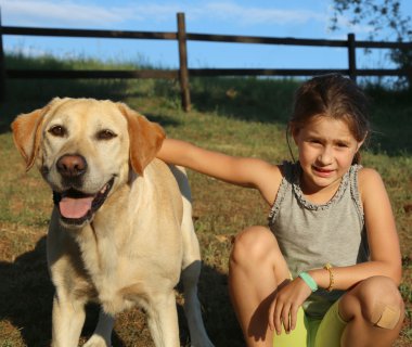İki arkadaş bir Labrador geri almak ve küçük bir kız açık