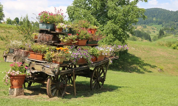Antik dekorieren Holzwagen voller blühender Blumen in der Halterung — Stockfoto
