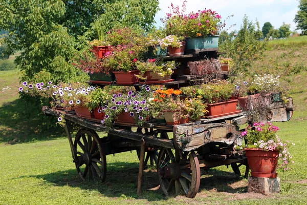 Antike kunstvolle Holzkarre voller blühender Blumen auf der Wiese — Stockfoto