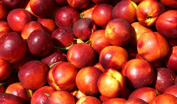 Fondo de nectarinas maduras para la venta en el mercado de verduras en Summe — Foto de Stock