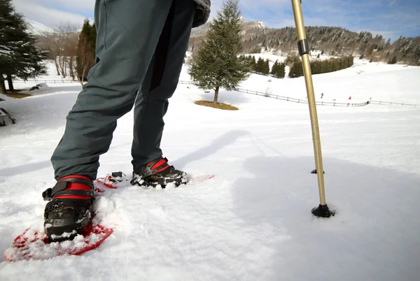 Pessoas enquanto snowshoeing nas montanhas — Fotografia de Stock