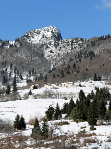 Hoge bergtop met sneeuw in de winter — Stockfoto