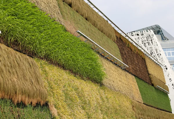 Milan, Italy - 8th September, 2015. EXPO MILANO.Israel Pavilion — Stock Photo, Image